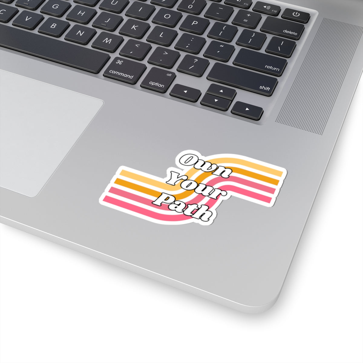 Own Your Path Stickers